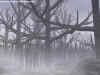 forestgrave.jpg (154768 bytes)
