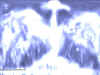 phoenix.jpg (71328 bytes)