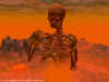 skeleton.jpg (125483 bytes)